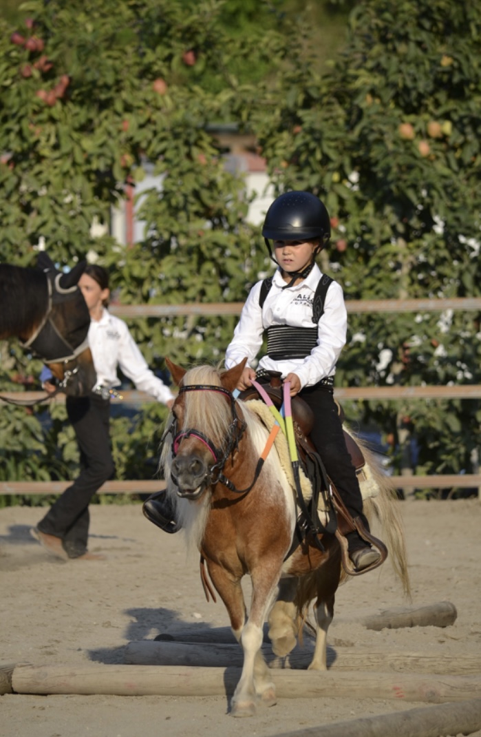 Esplora il magico mondo dei pony