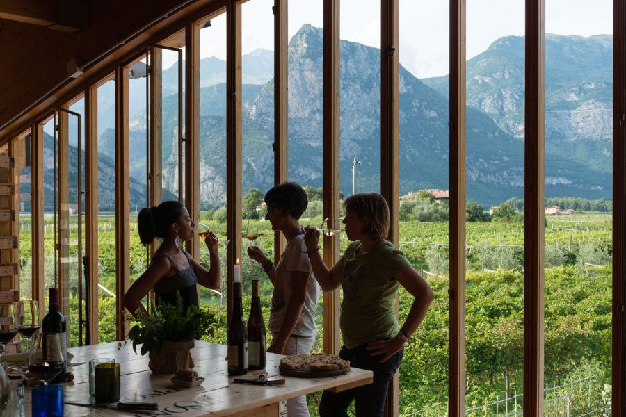 Cantina-Pisoni Degustazione